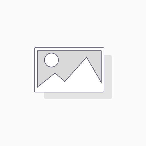 [Strato VPS L] Server business standard